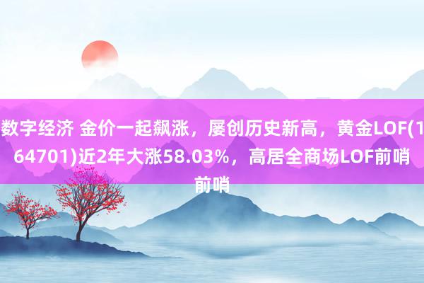 数字经济 金价一起飙涨，屡创历史新高，黄金LOF(164701)近2年大涨58.03%，高居全商场LOF前哨