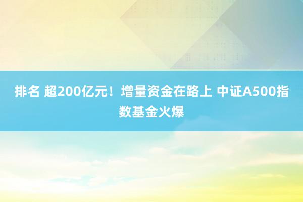 排名 超200亿元！增量资金在路上 中证A500指数基金火爆