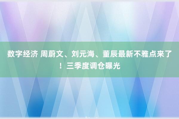 数字经济 周蔚文、刘元海、董辰最新不雅点来了！三季度调仓曝光