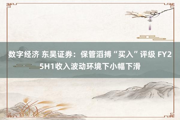 数字经济 东吴证券：保管滔搏“买入”评级 FY25H1收入波动环境下小幅下滑