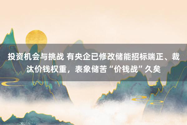 投资机会与挑战 有央企已修改储能招标端正、裁汰价钱权重，表象储苦“价钱战”久矣