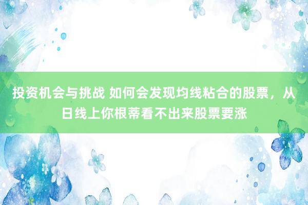 投资机会与挑战 如何会发现均线粘合的股票，从日线上你根蒂看不出来股票要涨