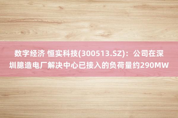 数字经济 恒实科技(300513.SZ)：公司在深圳臆造电厂解决中心已接入的负荷量约290MW