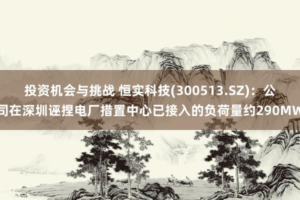 投资机会与挑战 恒实科技(300513.SZ)：公司在深圳诬捏电厂措置中心已接入的负荷量约290MW