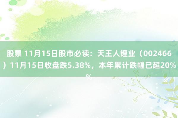 股票 11月15日股市必读：天王人锂业（002466）11月15日收盘跌5.38%，本年累计跌幅已超20%