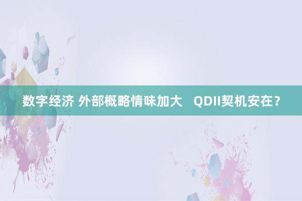 数字经济 外部概略情味加大   QDII契机安在？