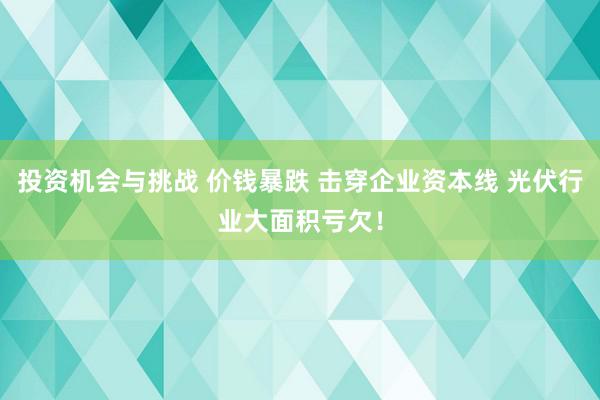 投资机会与挑战 价钱暴跌 击穿企业资本线 光伏行业大面积亏欠！