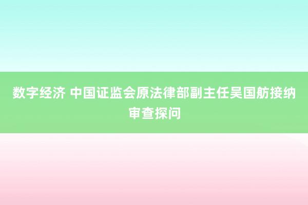 数字经济 中国证监会原法律部副主任吴国舫接纳审查探问