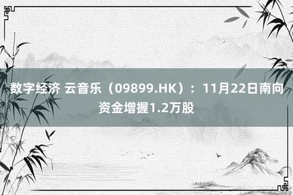 数字经济 云音乐（09899.HK）：11月22日南向资金增握1.2万股