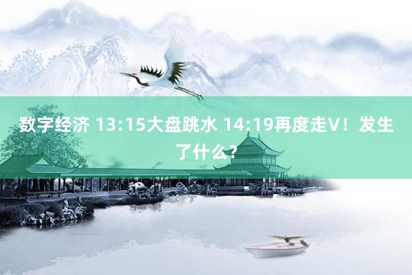 数字经济 13:15大盘跳水 14:19再度走V！发生了什么？