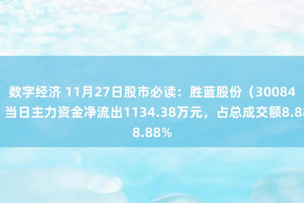 数字经济 11月27日股市必读：胜蓝股份（300843）当日主力资金净流出1134.38万元，占总成交额8.88%