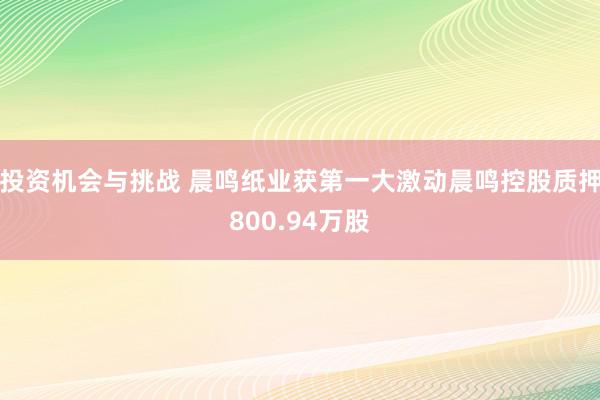 投资机会与挑战 晨鸣纸业获第一大激动晨鸣控股质押800.94万股