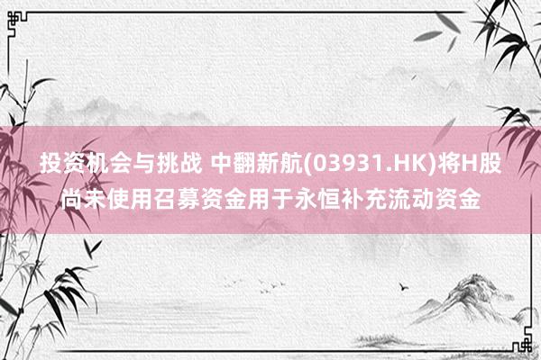 投资机会与挑战 中翻新航(03931.HK)将H股尚未使用召募资金用于永恒补充流动资金