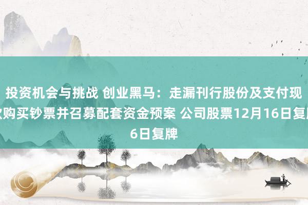 投资机会与挑战 创业黑马：走漏刊行股份及支付现款购买钞票并召募配套资金预案 公司股票12月16日复牌