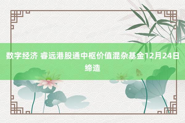 数字经济 睿远港股通中枢价值混杂基金12月24日缔造