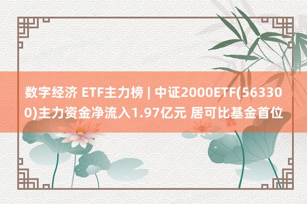 数字经济 ETF主力榜 | 中证2000ETF(563300)主力资金净流入1.97亿元 居可比基金首位