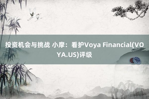 投资机会与挑战 小摩：看护Voya Financial(VOYA.US)评级