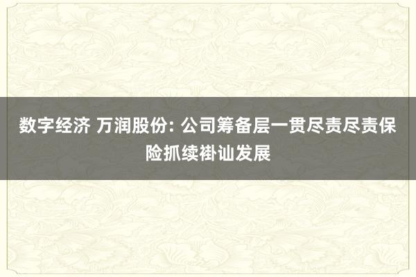 数字经济 万润股份: 公司筹备层一贯尽责尽责保险抓续褂讪发展