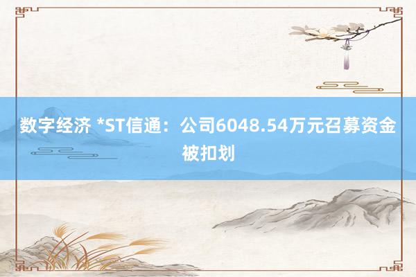 数字经济 *ST信通：公司6048.54万元召募资金被扣划