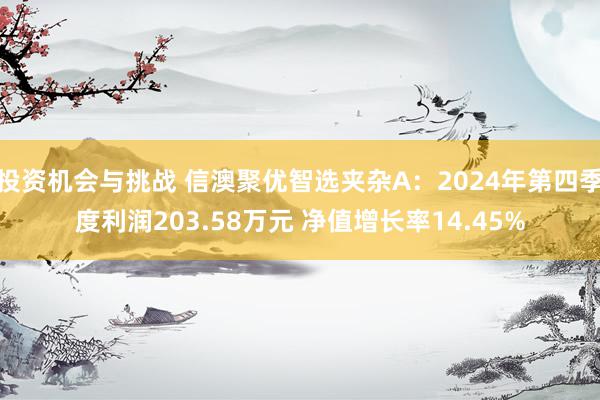 投资机会与挑战 信澳聚优智选夹杂A：2024年第四季度利润203.58万元 净值增长率14.45%