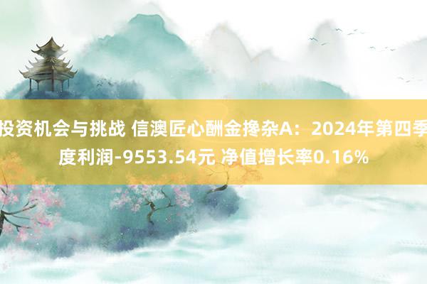 投资机会与挑战 信澳匠心酬金搀杂A：2024年第四季度利润-9553.54元 净值增长率0.16%