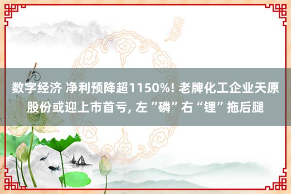 数字经济 净利预降超1150%! 老牌化工企业天原股份或迎上市首亏, 左“磷”右“锂”拖后腿