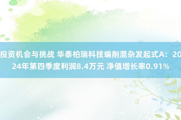 投资机会与挑战 华泰柏瑞科技编削混杂发起式A：2024年第四季度利润8.4万元 净值增长率0.91%