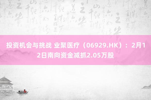 投资机会与挑战 业聚医疗（06929.HK）：2月12日南向资金减抓2.05万股