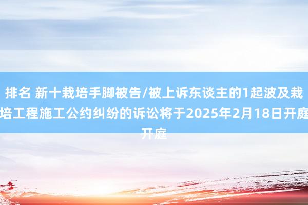 排名 新十栽培手脚被告/被上诉东谈主的1起波及栽培工程施工公约纠纷的诉讼将于2025年2月18日开庭