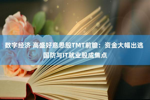 数字经济 高盛好意思股TMT前瞻：资金大幅出逃 国防与IT就业股成焦点