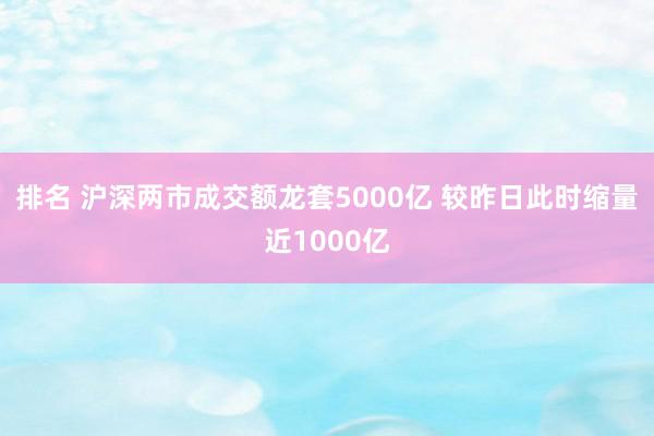 排名 沪深两市成交额龙套5000亿 较昨日此时缩量近1000亿