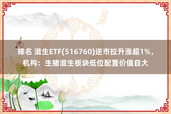 排名 滋生ETF(516760)逆市拉升涨超1%，机构：生猪滋生板块低位配置价值自大