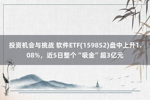 投资机会与挑战 软件ETF(159852)盘中上升1.08%，近5日整个“吸金”超3亿元